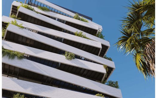 Front-line Development in Malaga